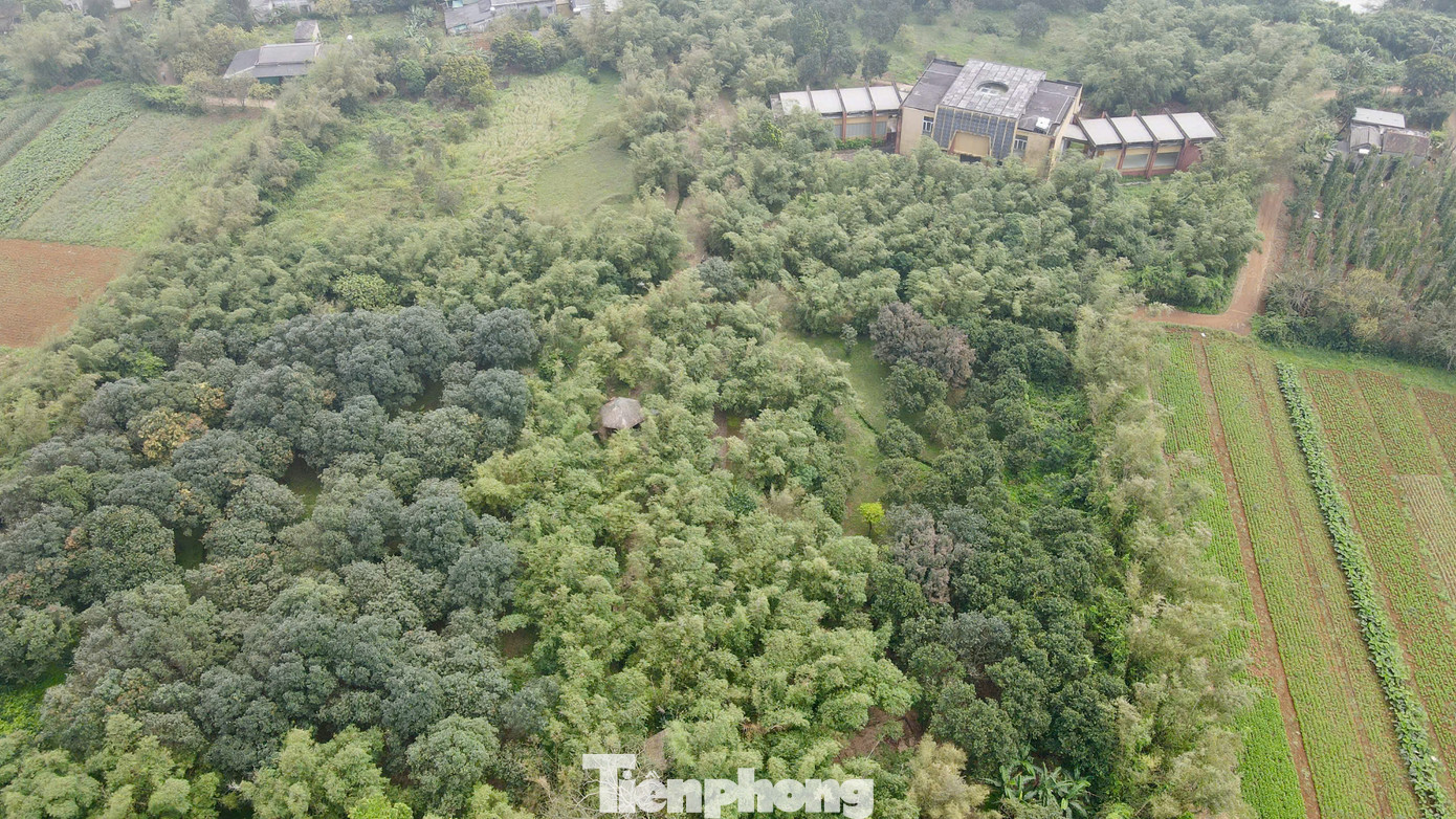 Khi đế quốc Mỹ bắt đầu leo thang chiến tranh phá hoại ở miền bắc Việt Nam, mảnh đất Vĩnh Linh chưa đầy 820 km2 nằm ở bờ bắc sông Bến Hải trở thành túi bom, hứng chịu hơn nửa triệu tấn bom đạn, tính trung bình mỗi người dân phải chịu 7 tấn từ năm 1965 đến 1972.