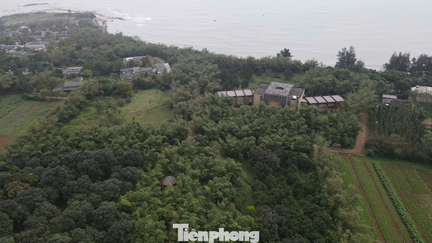 Khi đế quốc Mỹ bắt đầu leo thang chiến tranh phá hoại ở miền bắc Việt Nam, mảnh đất Vĩnh Linh chưa đầy 820 km2 nằm ở bờ bắc sông Bến Hải trở thành túi bom, hứng chịu hơn nửa triệu tấn bom đạn, tính trung bình mỗi người dân phải chịu 7 tấn từ năm 1965 đến 1972.