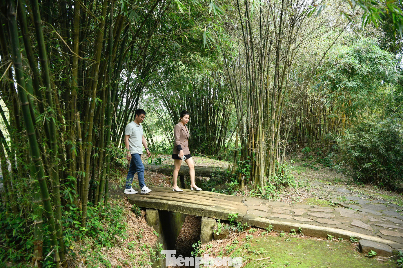 Trên mặt đất vẫn còn vô số hố bom đạn, bên cạnh những lũy tre, rừng cây che chở cho địa đạo.