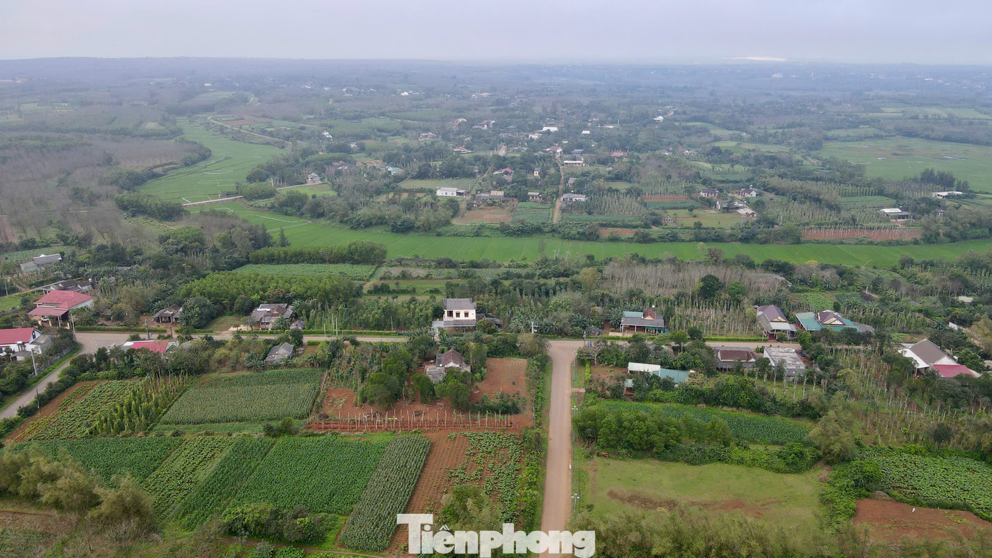 Khi đế quốc Mỹ bắt đầu leo thang chiến tranh phá hoại ở miền bắc Việt Nam, mảnh đất Vĩnh Linh chưa đầy 820 km2 nằm ở bờ bắc sông Bến Hải trở thành túi bom, hứng chịu hơn nửa triệu tấn bom đạn, tính trung bình mỗi người dân phải chịu 7 tấn từ năm 1965 đến 1972.