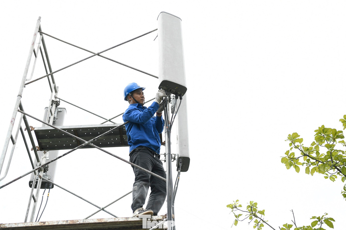 Để phục vụ Giải Vô địch Golf Quốc gia năm 2023 - Cúp VinFast, VNPT Hải Phòng đã gấp rút lắp đặt một trạm BTS lớn ở Vinpearl Golf Hải Phòng. Để phục vụ Giải Vô địch Golf Quốc gia năm 2023 - Cúp VinFast, VNPT Hải Phòng đã gấp rút lắp đặt một trạm BTS lớn ở Vinpearl Golf Hải Phòng.