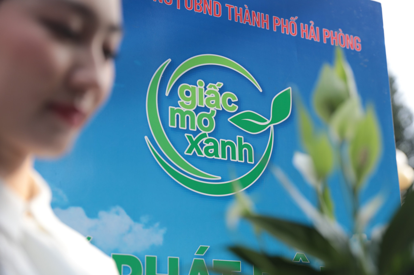 Khu vực lựa chọn trồng cây là bãi bồi ngoài đê đầm Việt Mỹ, thuộc xã Vinh Quang, huyện Tiên Lãng - một khu vực bãi bồi ven biển chưa có rừng, nằm trong quy hoạch bảo vệ và phát triển rừng của địa phương.