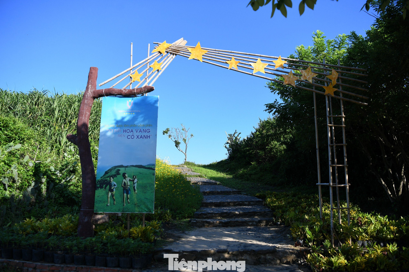 Ngay lối lên, tấm biển &quot;Nơi đây được làm phân cảnh phim Tôi thấy hoa vàng trên cỏ xanh&quot; được treo đầy tự hào. Như đạo diễn Victor Vũ từng chia sẻ, với bộ phim thiên về cảm xúc, điều quan trọng khi chọn bối cảnh là &quot;hình ảnh phải có chất thơ, không gian phải yên bình&quot;.