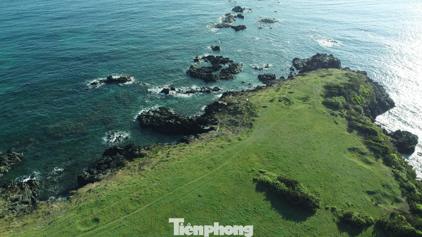 &quot;Tôi thấy ngày ấy tìm đến đây/ Tôi thấy thanh thản như mây trời/ Tôi thấy hạnh phúc bên kia đồi, gọi những bình yên nào ghé chơi...&quot;. Giai điệu bài hát Tôi thấy hoa vàng trên cỏ xanh tự nhiên văng vẳng, bên tiếng sóng vỗ vào ghềnh đá, khiến thật khó để rời đi.