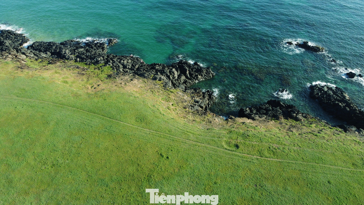 &quot;Tôi thấy ngày ấy tìm đến đây/ Tôi thấy thanh thản như mây trời/ Tôi thấy hạnh phúc bên kia đồi, gọi những bình yên nào ghé chơi...&quot;. Giai điệu bài hát Tôi thấy hoa vàng trên cỏ xanh tự nhiên văng vẳng, bên tiếng sóng vỗ vào ghềnh đá, khiến thật khó để rời đi.