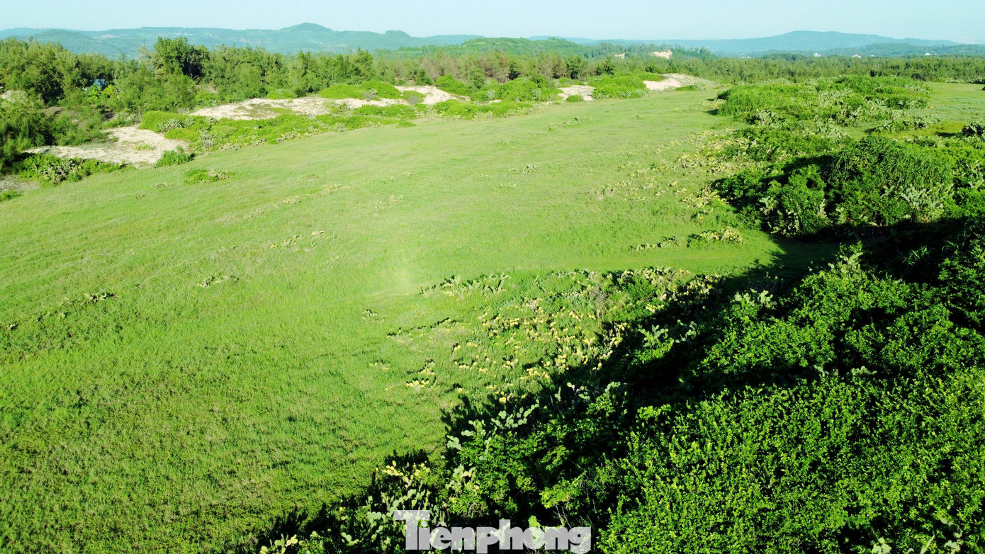 Bước qua những bậc thềm đá, không gian mở ra khiến tất cả phải choáng ngợp. Trái ngược với bãi cát vàng cùng bãi đá đen xù xì phía dưới, là mảng màu xanh trải dài bất tận, và chúng ta bỗng hóa trẻ thơ với mong muốn nhanh chóng đắm mình trong đó.