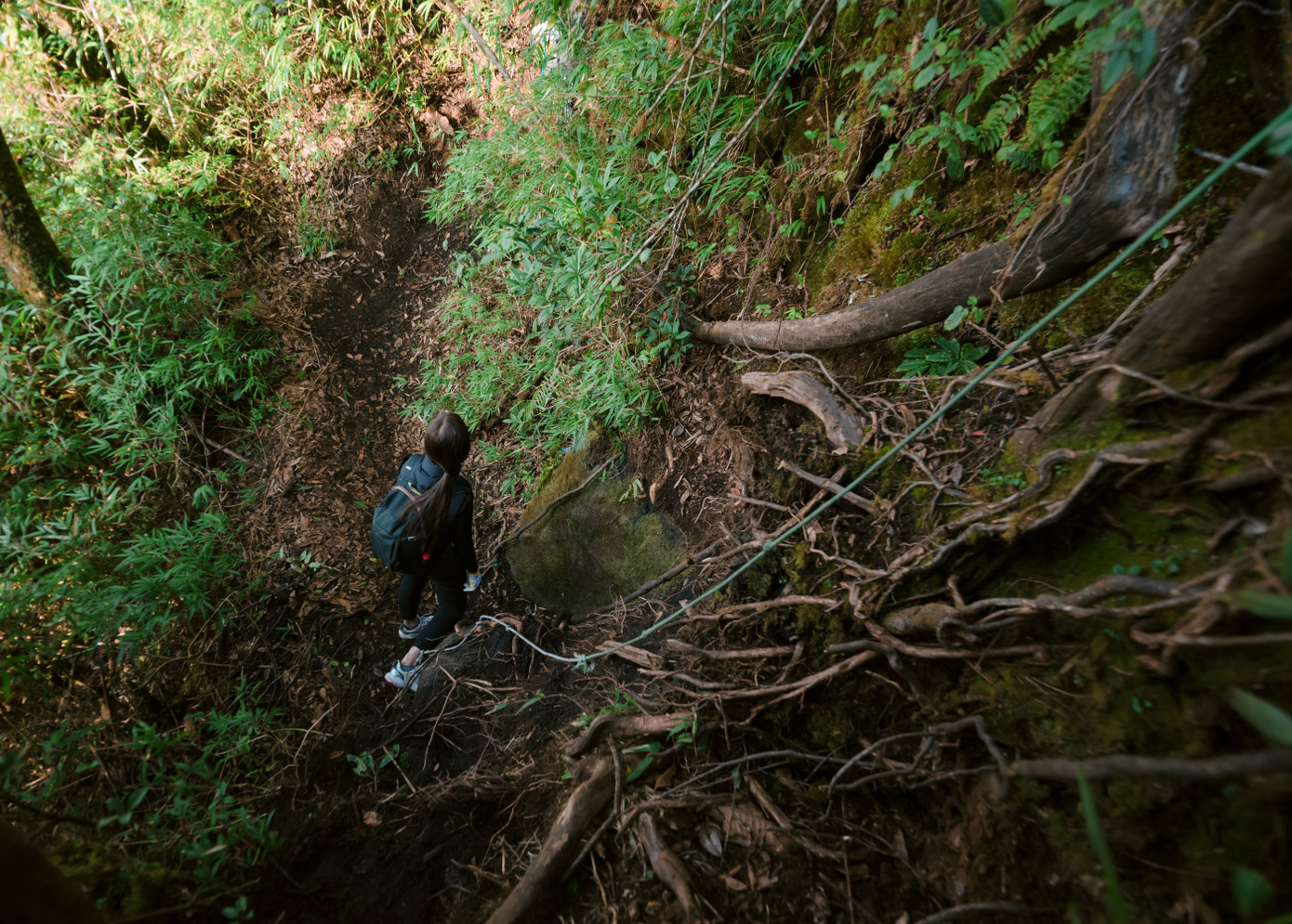 "Một cung đường trekking với những cảnh rừng núi hoang sơ và đẹp lắm luôn", Nguyễn Ngọc Mai chia sẻ.