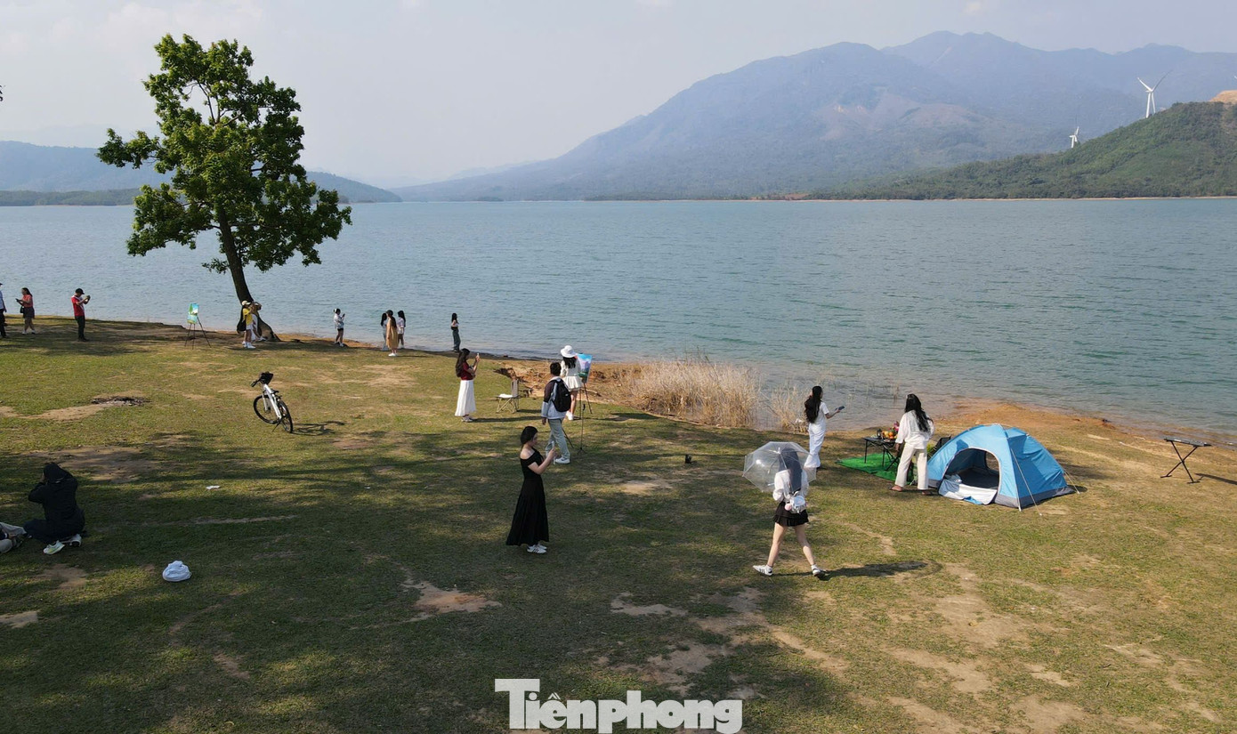 Còn &quot;cây cô đơn&quot;, không hiểu vì lý do gì lại đứng tách riêng. Cách đây 5 năm, cây bị kẻ xấu phá hoại, lột vỏ và chặt sâu vào thân. Tuy nhiên nhờ nỗ lực cứu cây của nhóm tình nguyện cùng sức sống mãnh liệt, ưa sáng và có khả năng tái sinh mạnh mẽ, cây cô đơn xanh tốt trở lại, hòa vào khung cảnh nên thơ nơi đây.