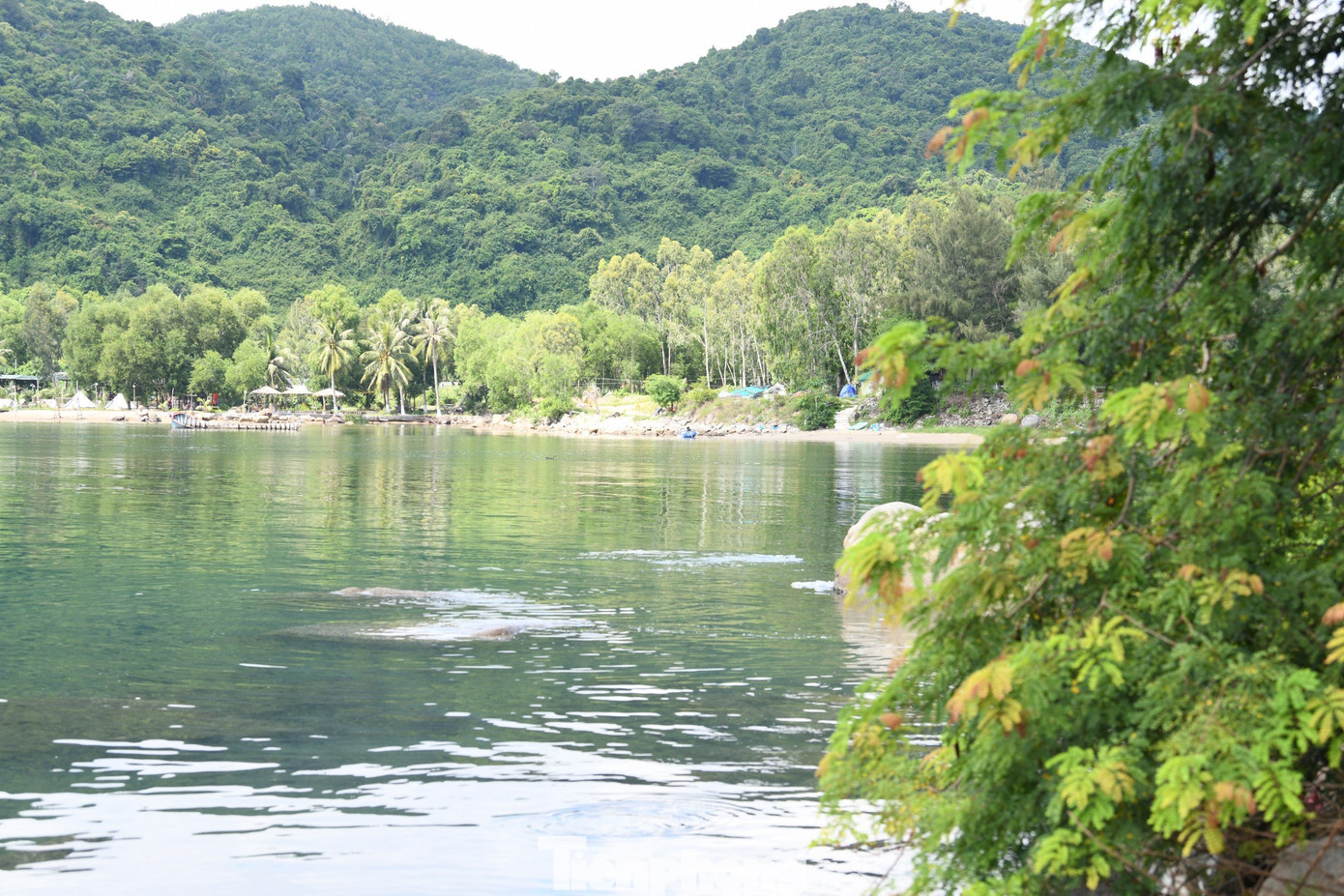 Xung quanh khu vực bãi Chùa ở Vũng Rô, nơi tiếp nhận những lô vũ khí từ các chuyến tàu không số. Xung quanh khu vực bãi Chùa ở Vũng Rô, nơi tiếp nhận những lô vũ khí từ các chuyến tàu không số.