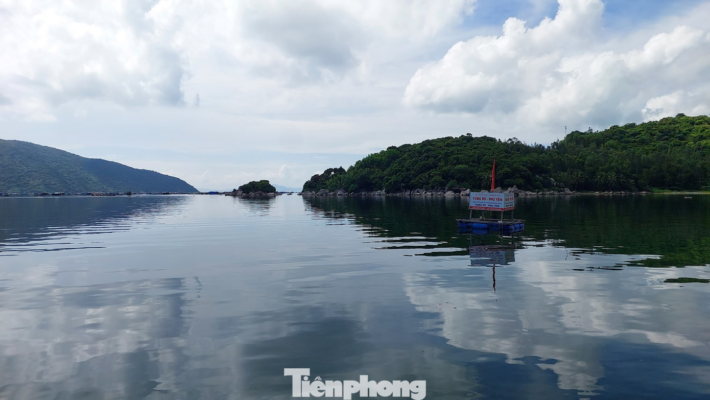 Mặt biển bình lặng này từng là nơi các chiến sỹ và dân quân du kích của ta chiến đấu, tạo nên trận Vũng Rô đầy bi tráng tháng 2/1965. Mặt biển bình lặng này từng là nơi các chiến sỹ và dân quân du kích của ta chiến đấu, tạo nên trận Vũng Rô đầy bi tráng tháng 2/1965.