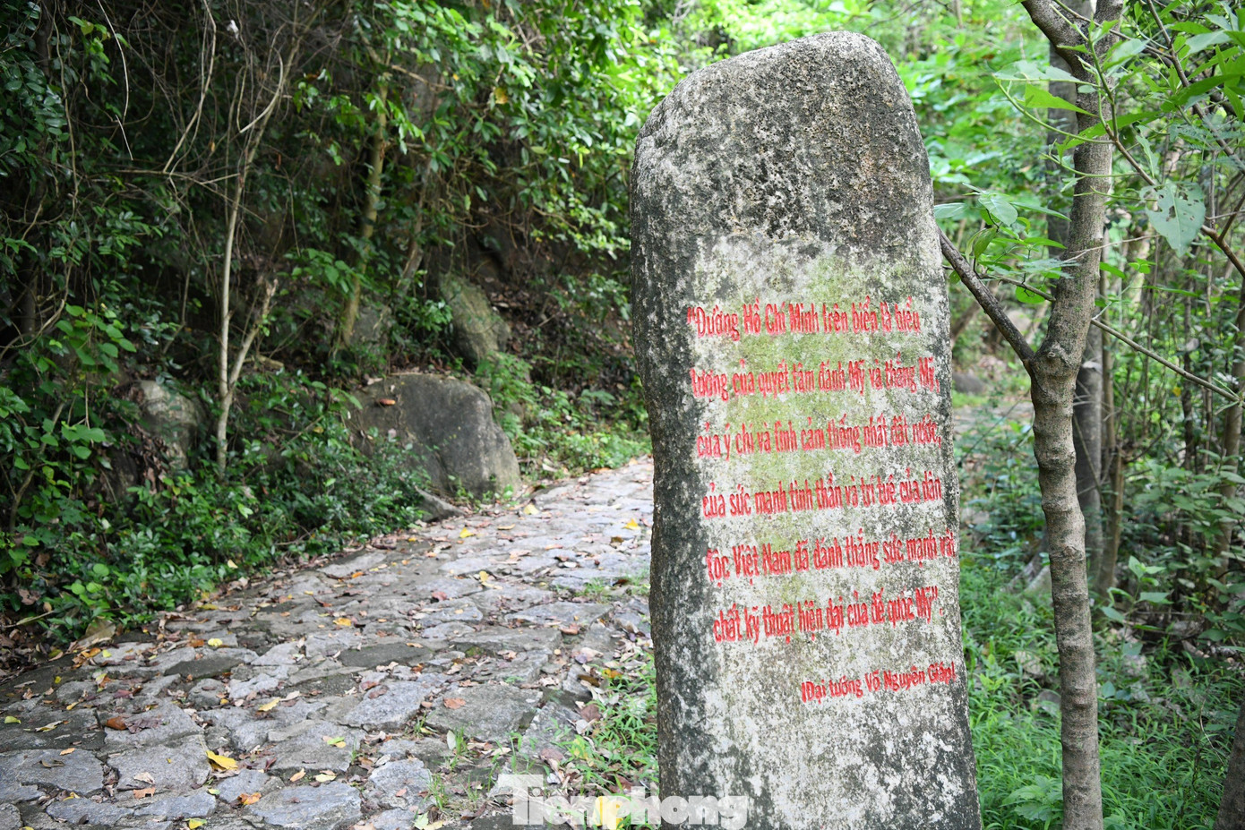 Câu nói của Đại tướng Võ Nguyên Giáp về đường Hồ Chí Minh trên biển được khắc vào cột đá tại khu Di tích lịch sử Vũng Rô, trên đường ra nhà tưởng niệm và bến tàu bãi Chùa. Câu nói của Đại tướng Võ Nguyên Giáp về đường Hồ Chí Minh trên biển được khắc vào cột đá tại khu Di tích lịch sử Vũng Rô, trên đường ra nhà tưởng niệm và bến tàu bãi Chùa.