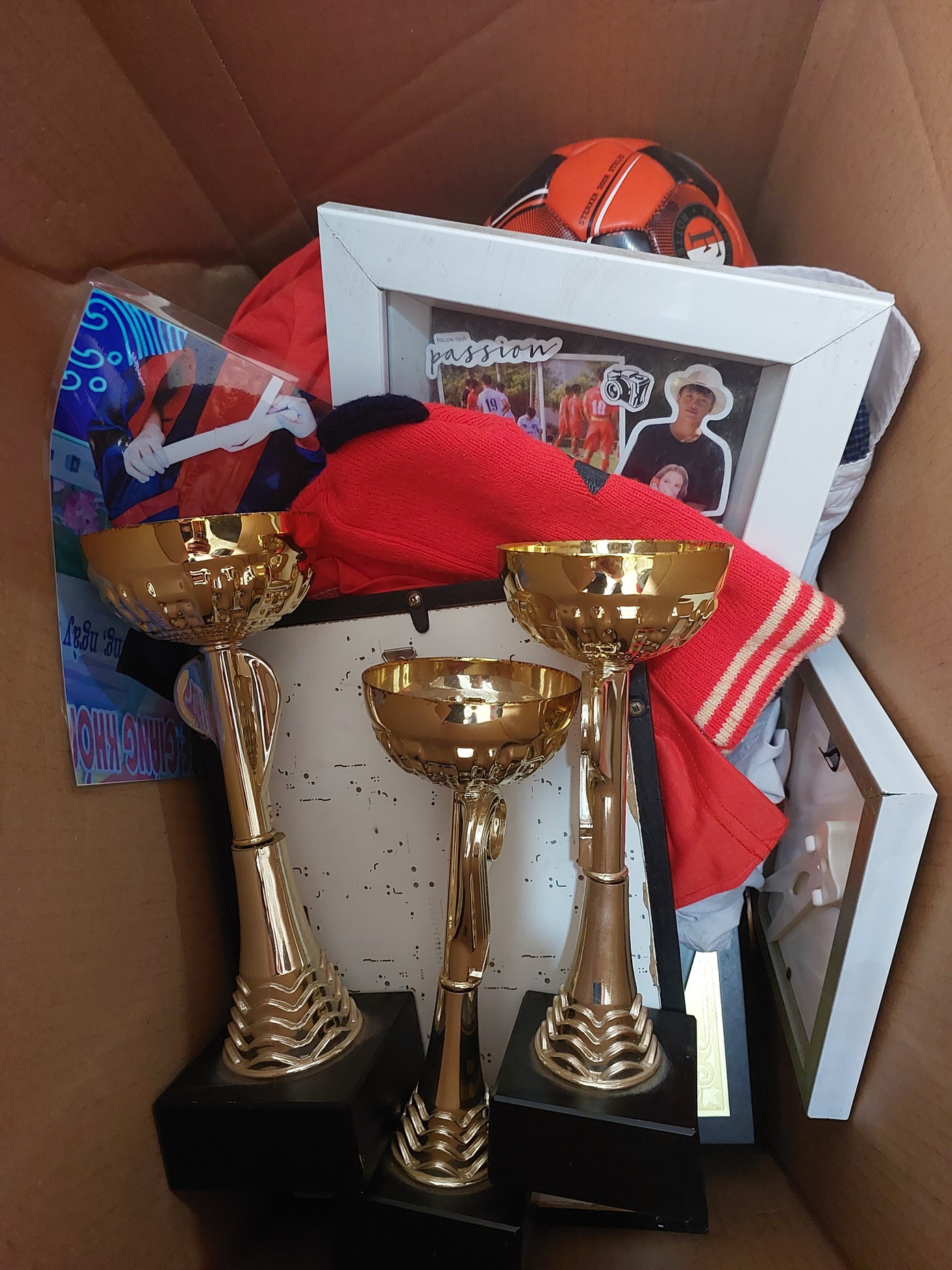 Những chiếc Cúp trong bộ sưu tập danh hiệu đồ sộ của Quốc Việt.