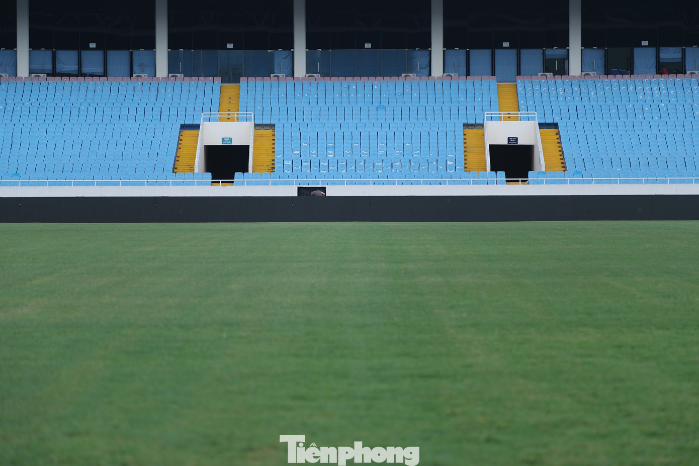 Một trong những vấn đề được quan tâm nhiều nhất chính là mặt cỏ. Theo ghi nhận, chất lượng mặt cỏ tại Mỹ Đình khá ổn.