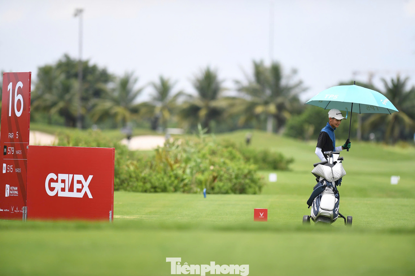 Sẽ có nhát cắt qua 36 hố, chọn ra 50 golfer nam và 12 golfer nữ tiếp tục tranh tài ở hai ngày thi đấu cuối cùng.
