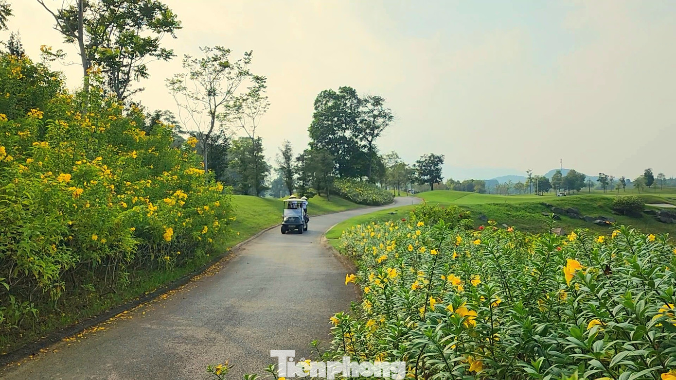Những ngày này ở BRG Kings&apos; Island Golf Resort ngập tràn hoa cỏ.