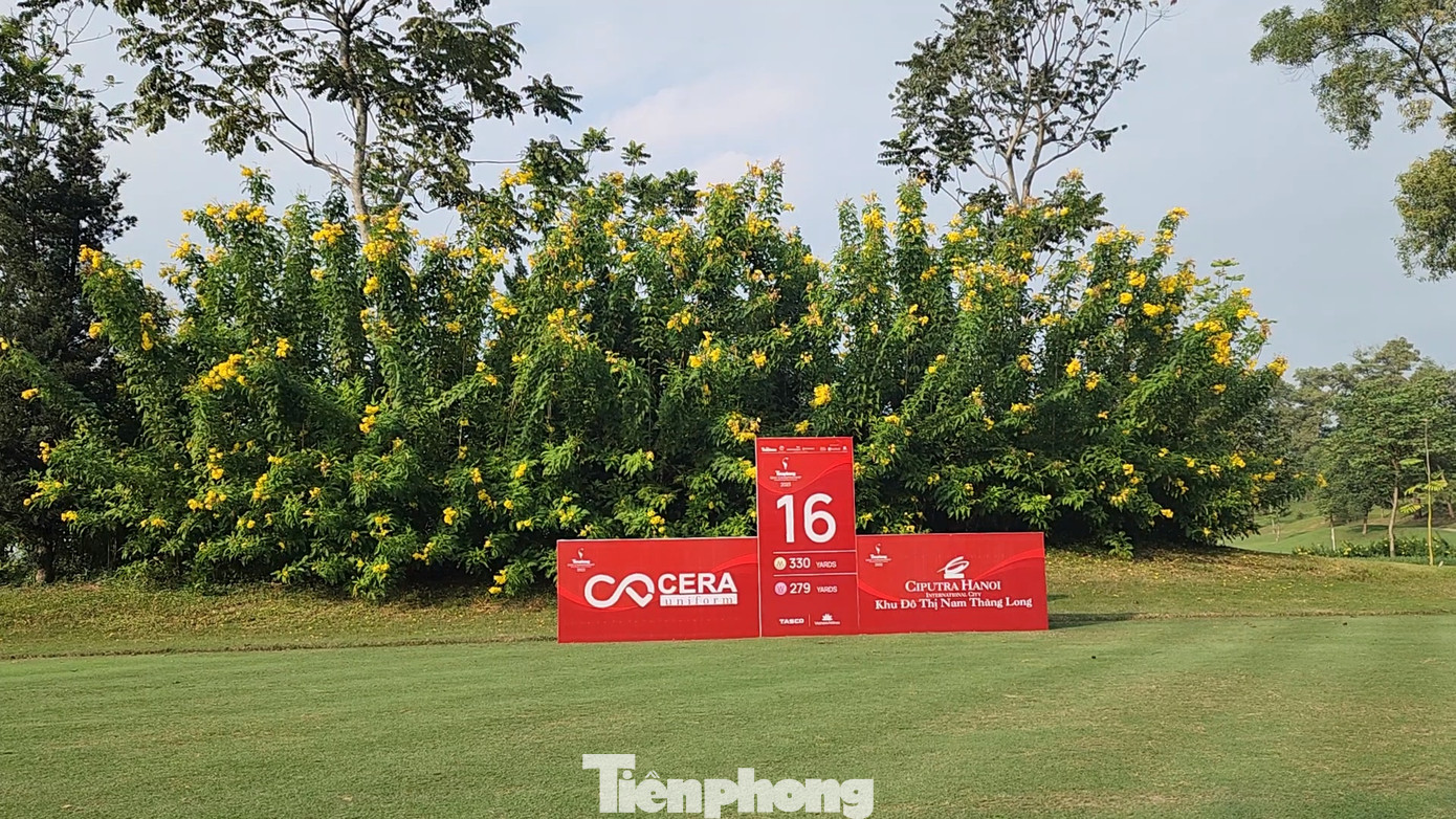Những tán hoa khiến các hố đấu trở nên thơ mộng, và thi đấu tại Tiền Phòng Golf Championship 2023 giống như một dịp thưởng ngoạn kỳ thú.