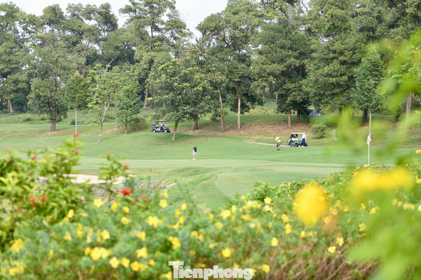 Tán cây rậm rạp, thảm cỏ xanh mướt và những vạt hoa rực rỡ, tất cả khiến buổi chơi golf không chỉ là thể thao, mà là tận hưởng.