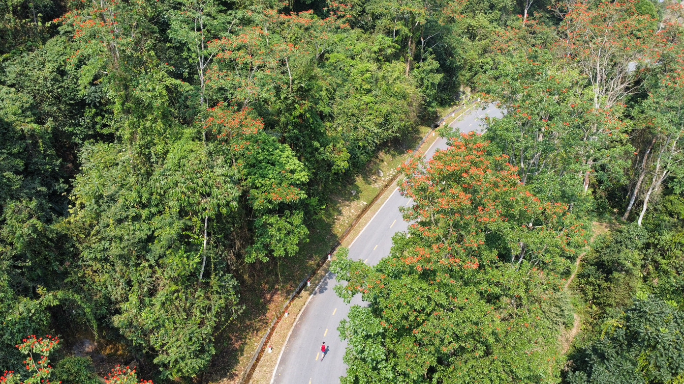 Cung đường đẹp mê hồn của Pu Sam Cáp. Cung đường đẹp mê hồn của Pu Sam Cáp.