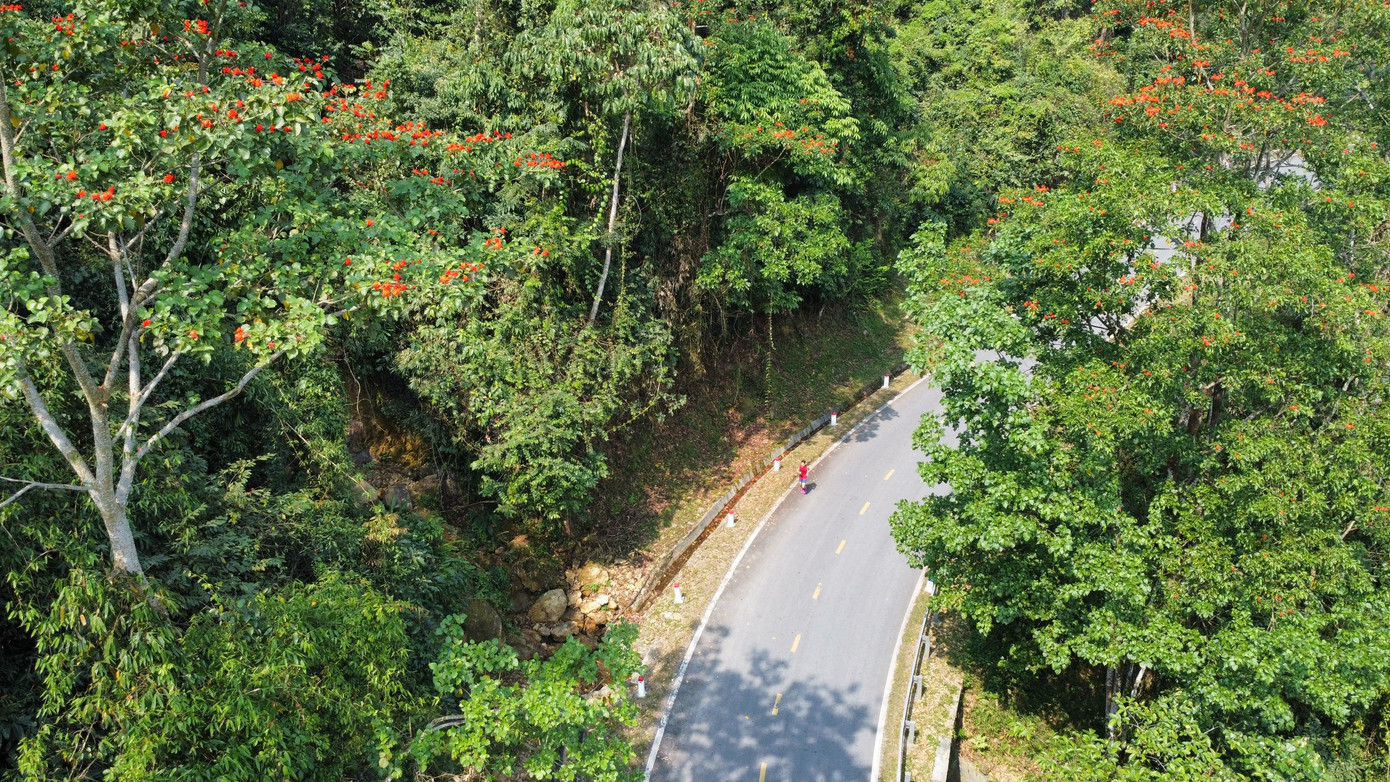 Cung đường đẹp mê hồn của Pu Sam Cáp. Cung đường đẹp mê hồn của Pu Sam Cáp.