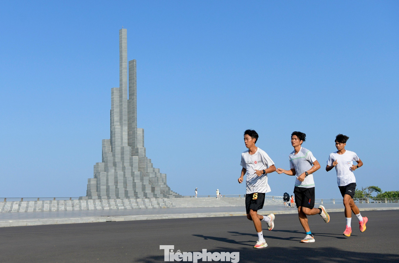 Tại Tiền Phong Marathon 2024 có 35 đoàn tham dự, với tổng số 253 VĐV chuyên nghiệp (148 nam, 105 nữ). Quân đội (17), Đồng Nai (16), Bắc Giang (15), Khánh Hòa (14) và Bình Định (12) là các đoàn có nhiều VĐV tham dự nhất.