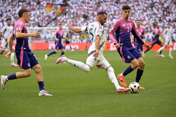 Hạ Hungary 2-0, Đức giành vé đầu tiên vào vòng knock-out EURO 2024 ảnh 24 Hạ Hungary 2-0, Đức giành vé đầu tiên vào vòng knock-out EURO 2024 ảnh 24