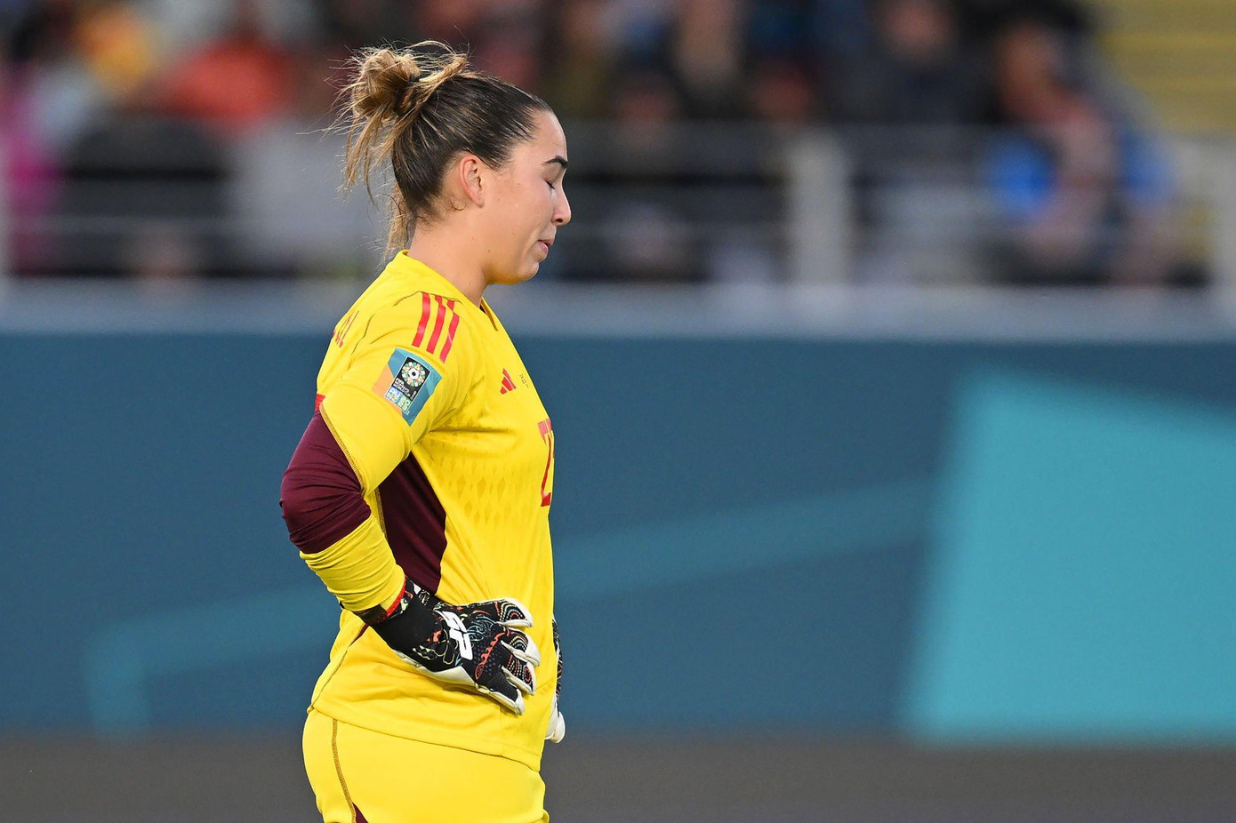 ‘Đè bẹp’ Thụy Sỹ 5-1, Tây Ban Nha lần đầu vào tứ kết World Cup ảnh 14 ‘Đè bẹp’ Thụy Sỹ 5-1, Tây Ban Nha lần đầu vào tứ kết World Cup ảnh 14