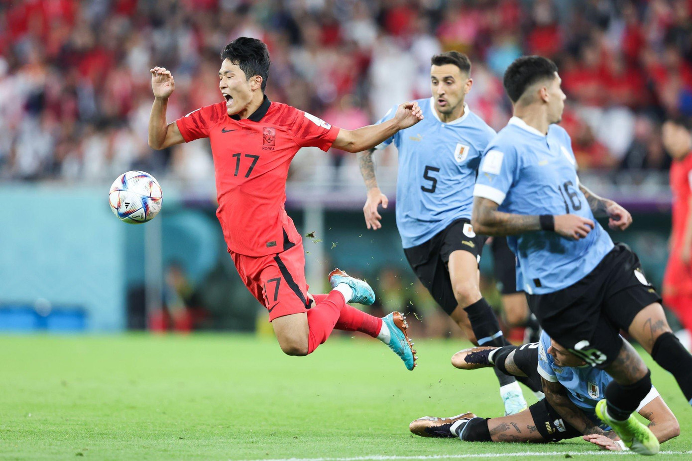 World Cup 2022: Uruguay tiếc nuối sau trận đấu không bàn thắng với Hàn Quốc ảnh 19