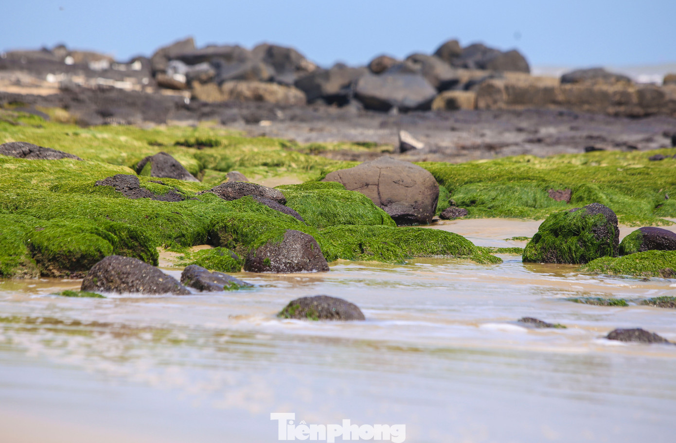 Tại đó có Mũi Hàu - Bãi đá hoa, một trong những điểm check-in được yêu thích. Tại đó có Mũi Hàu - Bãi đá hoa, một trong những điểm check-in được yêu thích.