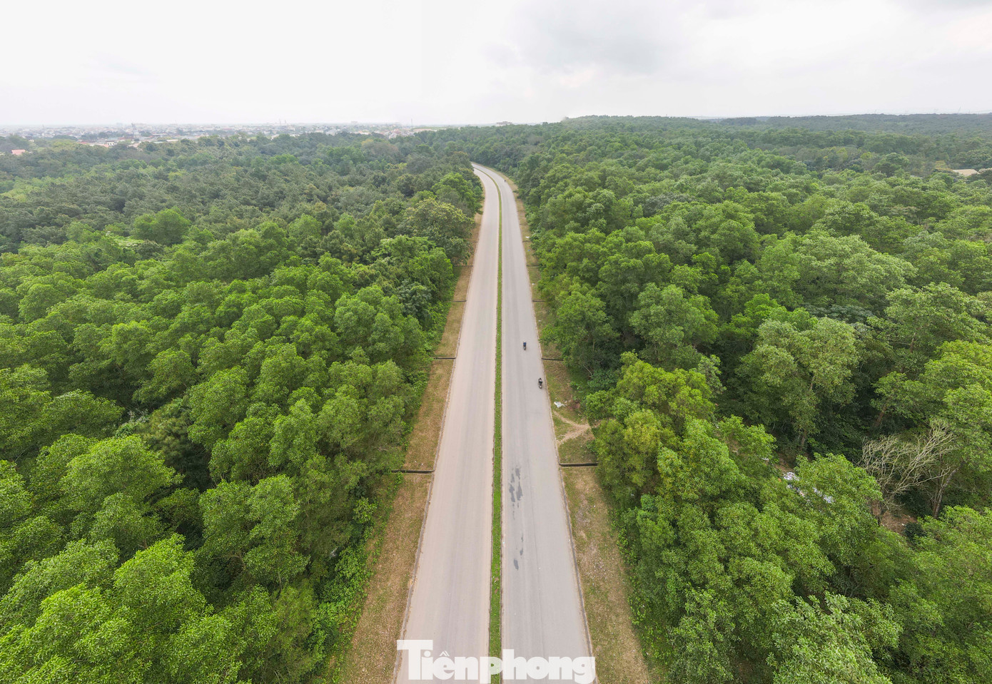 Chưa hết, vẻ đẹp mê hồn với hai bên rừng cây chắc chắn khiến các runner phải thổn thức.