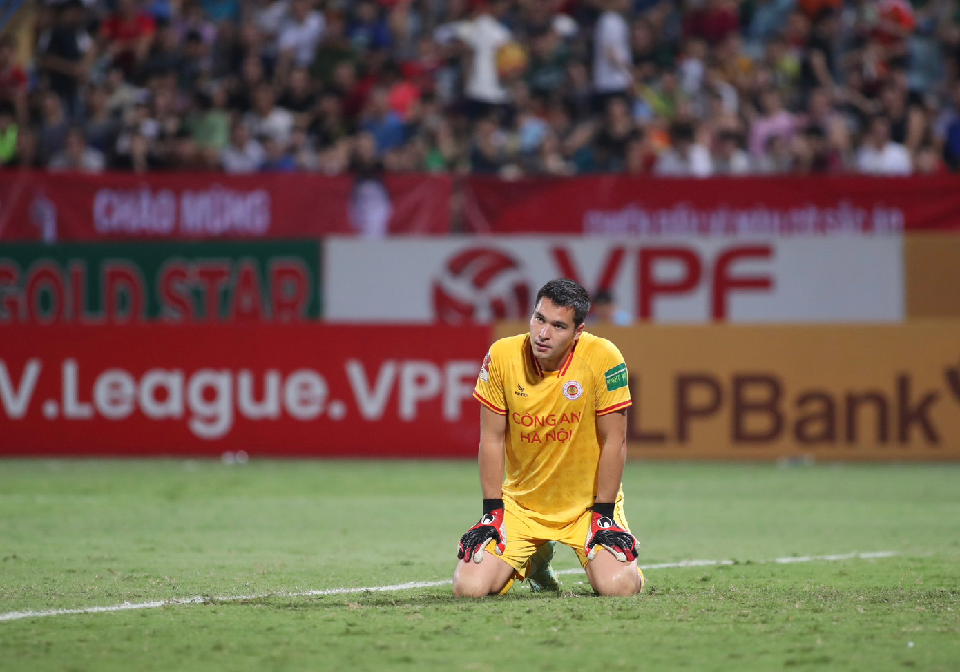Bộ đôi tân binh đình đám cũng không giúp CAHN bay cao. Bộ đôi tân binh đình đám cũng không giúp CAHN bay cao.