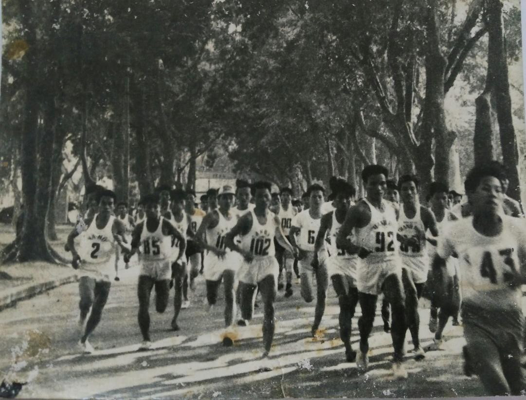 Giải Việt dã báo Tiền Phong được tổ chức lần đầu năm 1958 ở công viên Bách Thảo (Hà Nội). Giải Việt dã báo Tiền Phong được tổ chức lần đầu năm 1958 ở công viên Bách Thảo (Hà Nội).