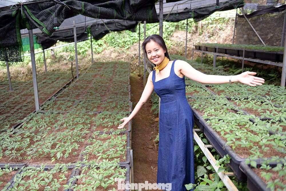 Mỗi khay được gieo 100 hạt, đạt tỷ lệ sinh trưởng 90-95%.