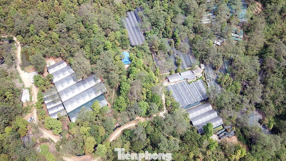 Vườn ươm tại bản Sin Chải nhìn từ trên cao.