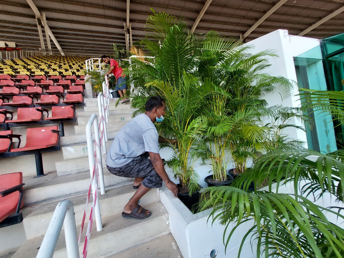 Thammasat có 3 khu VIP ở khán đài A, hiện đang được các nhân viên trang trí thêm cây xanh.