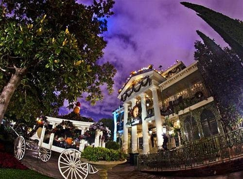 Thế giới màu sắc tuyệt đẹp ở đài phun nước Lâu đài lung linh sắc màu của Công chúa ngủ trong rừng Mặt ngoài của Thế giới thu nhỏ được lắp đặt hàng ngàn bóng đèn đủ màu sắc để thắp sáng trong suốt lễ Giáng sinh Góc nhìn qua cây thông Noel cao 18,2m đến Cây thông cao 18,2m cùng những hộp quà xinh xắn đầy sắc màu tạo nên một không khí đặc biệt của Giáng sinh Lâu đài công chúa ngủ trong rừng được trang hoàng với hàng ngàn bóng đèn băng tuyết cho mùa Giáng sinh Khung cảnh phim Lâu đài ma ám của đạo diễn Tim Burton kết hợp cùng Halloween làm tăng thêm sự thú vị và rùng rợn cho mùa Giáng sinh.