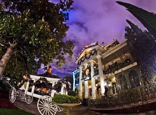 Thế giới màu sắc tuyệt đẹp ở đài phun nước Lâu đài lung linh sắc màu của Công chúa ngủ trong rừng Mặt ngoài của Thế giới thu nhỏ được lắp đặt hàng ngàn bóng đèn đủ màu sắc để thắp sáng trong suốt lễ Giáng sinh Góc nhìn qua cây thông Noel cao 18,2m đến Cây thông cao 18,2m cùng những hộp quà xinh xắn đầy sắc màu tạo nên một không khí đặc biệt của Giáng sinh Lâu đài công chúa ngủ trong rừng được trang hoàng với hàng ngàn bóng đèn băng tuyết cho mùa Giáng sinh Khung cảnh phim Lâu đài ma ám của đạo diễn Tim Burton kết hợp cùng Halloween làm tăng thêm sự thú vị và rùng rợn cho mùa Giáng sinh.