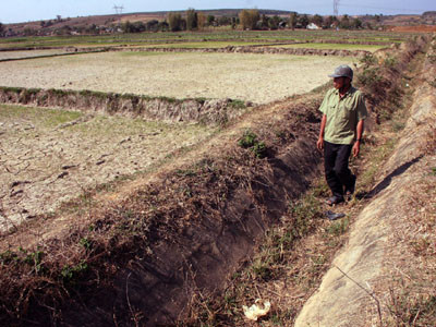 Cánh đồng xã Đoàn Kết (TP Kon Tum) khô cháy vì hạn