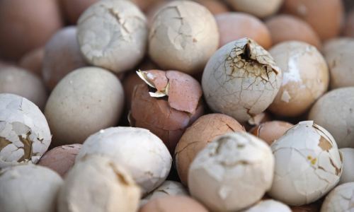 Tiết canh, thịt chó lọt top 13 món ăn kinh dị nhất thế giới ảnh 9