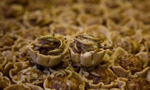 Tiết canh, thịt chó lọt top 13 món ăn kinh dị nhất thế giới ảnh 5