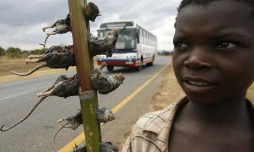 Tiết canh, thịt chó lọt top 13 món ăn kinh dị nhất thế giới ảnh 11