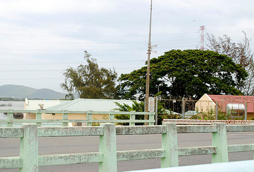 Cảnh sát truy tìm tài xế xe khách buông vô lăng để đi giày ảnh 3