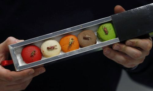 Tiết canh, thịt chó lọt top 13 món ăn kinh dị nhất thế giới ảnh 4