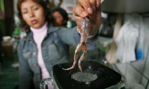 Tiết canh, thịt chó lọt top 13 món ăn kinh dị nhất thế giới ảnh 12