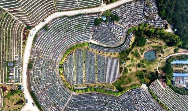 Đất nghĩa trang đã vượt giá nhà Trung Quốc trong 3 năm gần đây. (Ảnh: Chinanews.com)