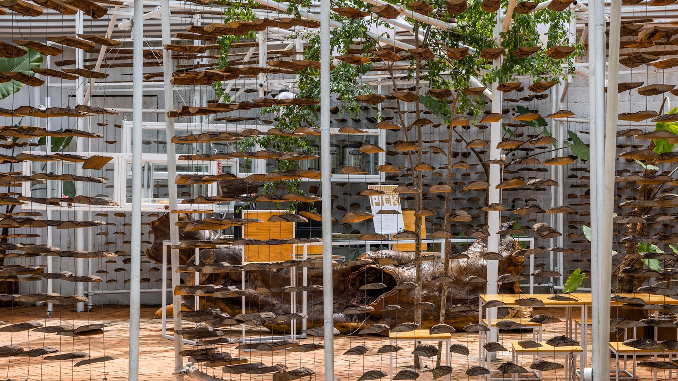 Nhờ lối thiết kế đặc biệt, công trình không mái, không cửa này sau khi hoàn thành đã khiến nhiều bạn trẻ phát "sốt" trong khi phóng viên của tạp chí kiến trúc nổi tiếng là Archdaily thì hết lời khen ngợi và trích dẫn lại bộ ảnh của công trình.