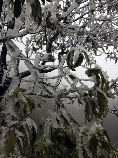 Băng tuyết tại khu vực Cổng trời (Sapa). Ảnh: Diệu Anh. Băng tuyết tại khu vực Cổng trời (Sapa). Ảnh: Diệu Anh