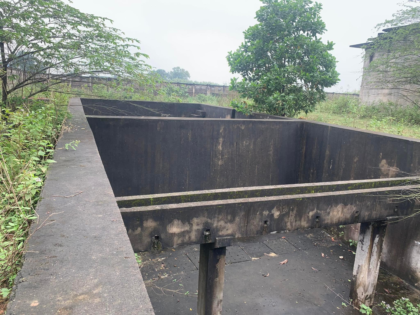 Bể xử lý nước hoàn thiện có dấu hiệu xuống cấp sau nhiều năm để hoang Bể xử lý nước hoàn thiện có dấu hiệu xuống cấp sau nhiều năm để hoang