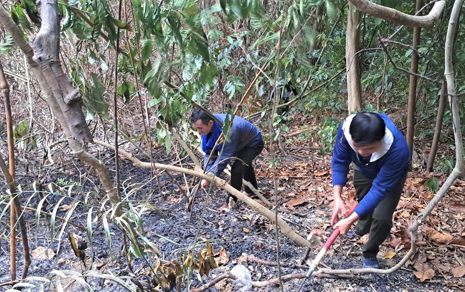 Các lực lượng chức năng dùng rựa phát cây mở đường, khoanh vùng để dập lửa. Ảnh: Đức Anh Các lực lượng chức năng dùng rựa phát cây mở đường, khoanh vùng để dập lửa. Ảnh: Đức Anh