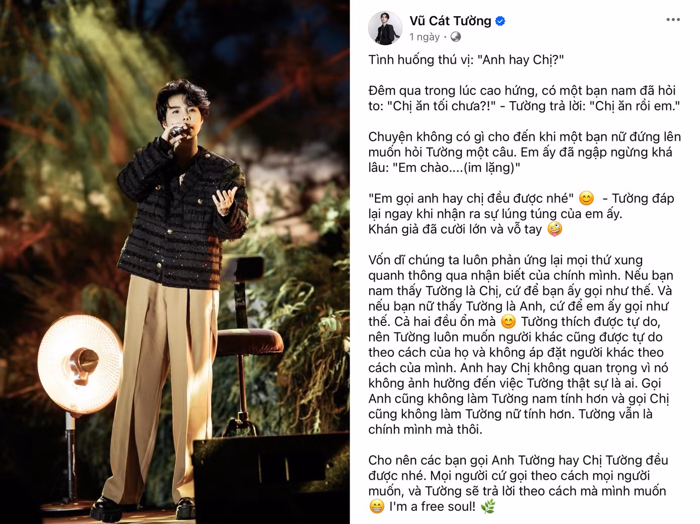 Nội dung bài đăng của Vũ Cát Tường.
