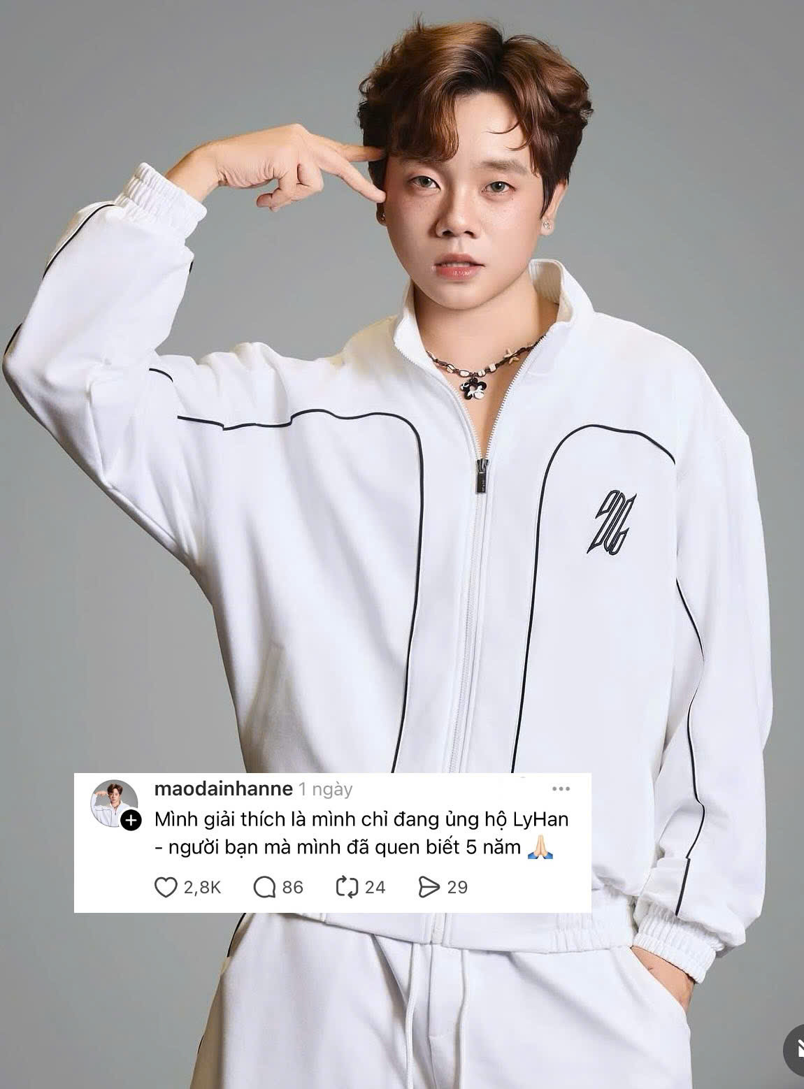 Bình luận của Việt Hoàng dưới bài viết tiêu cực về mình.